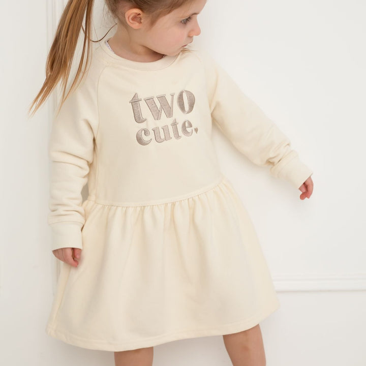 Birthday theme Sweatshirt Dress