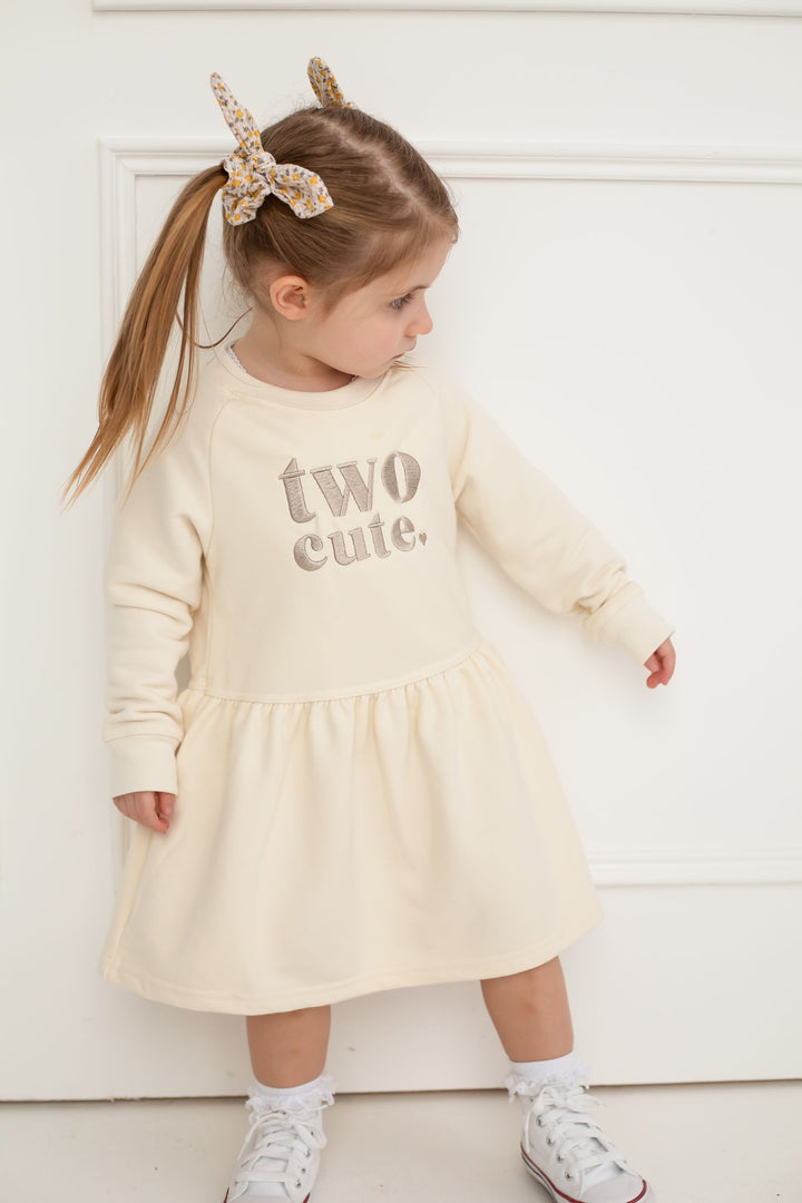 Birthday theme Sweatshirt Dress