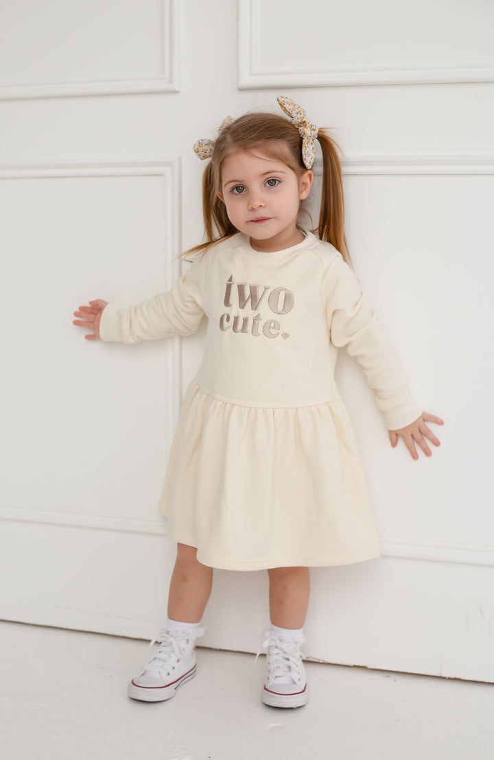 Birthday theme Sweatshirt Dress