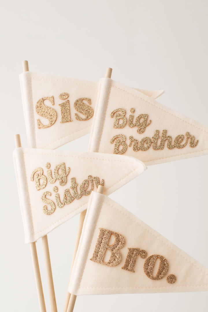 Big Sibling pennant flag Decoration