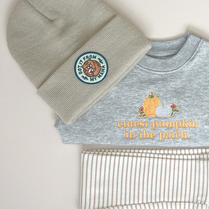 pumpkin signature sweatshirt